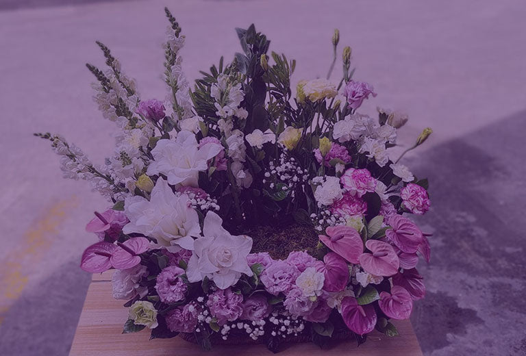 Special Sentiments Flowers